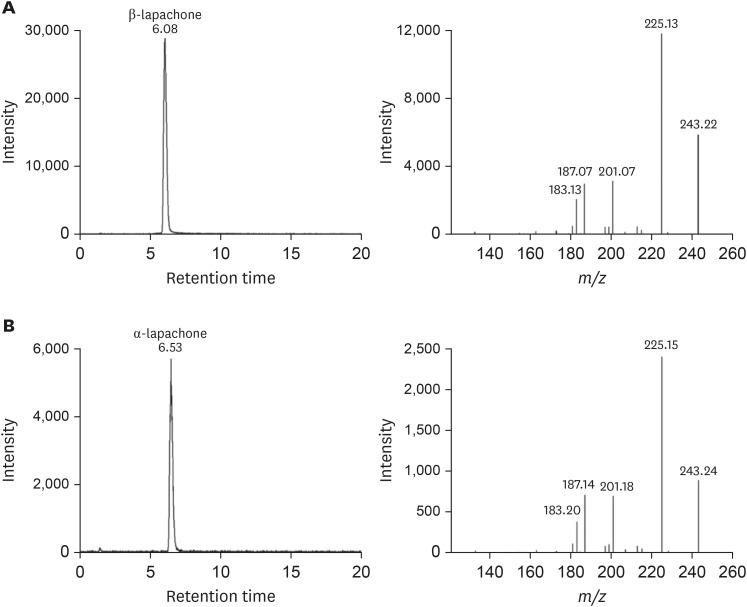 The possibility of low isomerization of β-lapachone in the human body.