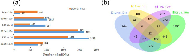 Transcriptomic profile of leg muscle during early growth and development in Haiyang yellow chicken.