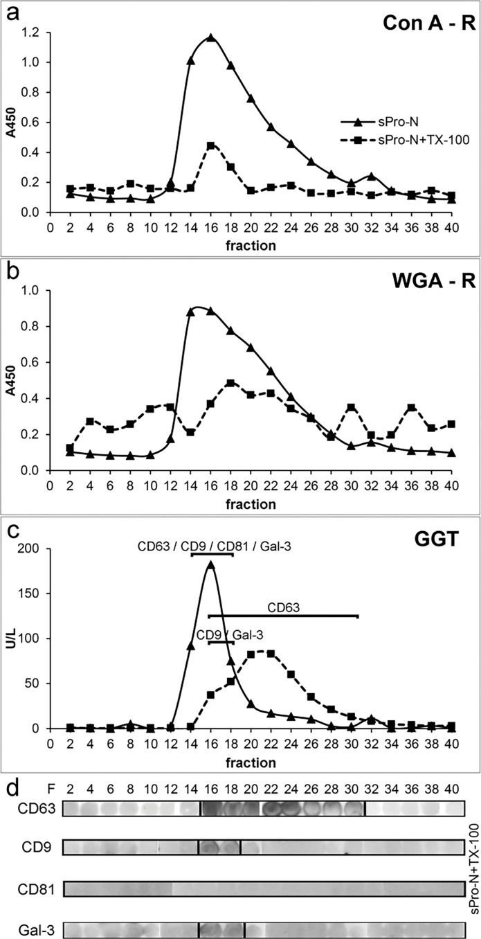 Assembly of tetraspanins, galectin-3, and distinct N-glycans defines the solubilization signature of seminal prostasomes from normozoospermic and oligozoospermic men.