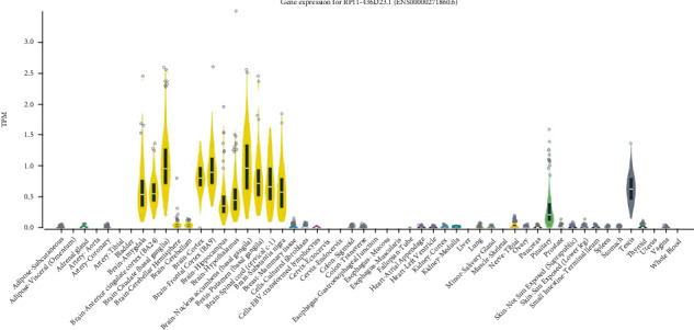 The Genetic Research in Alzheimer Disease (GERALD) Initiative Finds rs9320913 as a Neural eQTL of lincRNA AL589740.1.