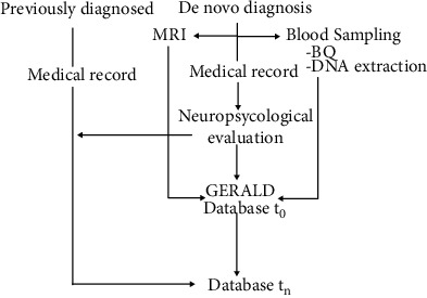 The Genetic Research in Alzheimer Disease (GERALD) Initiative Finds rs9320913 as a Neural eQTL of lincRNA AL589740.1.