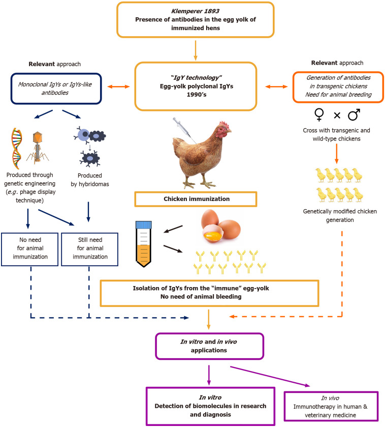 IgY technology: Methods for developing and evaluating avian immunoglobulins for the <i>in vitro</i> detection of biomolecules.