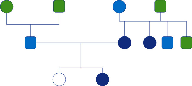 A Family with a High Incidence of Migraine and Vestibular Migraine and a Case of Menière's Disease.