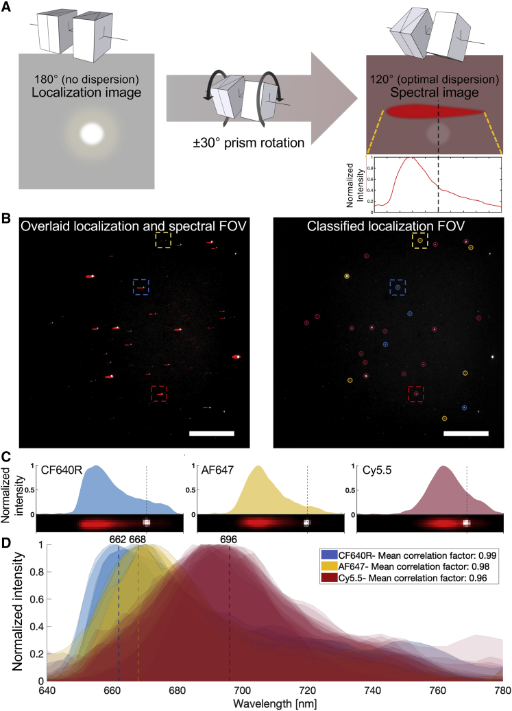 Multimodal single-molecule microscopy with continuously controlled spectral resolution.