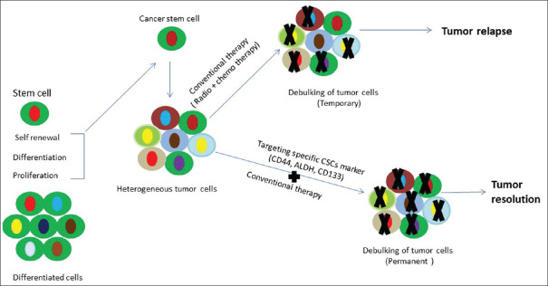 Role of cancer stem cells in head-and-neck squamous cell carcinoma - A systematic review.