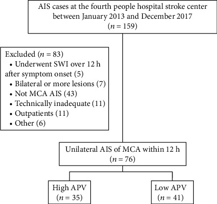 The Frequency and Associated Factors of Asymmetrical Prominent Veins: A Predictor of Unfavorable Outcomes in Patients with Acute Ischemic Stroke.