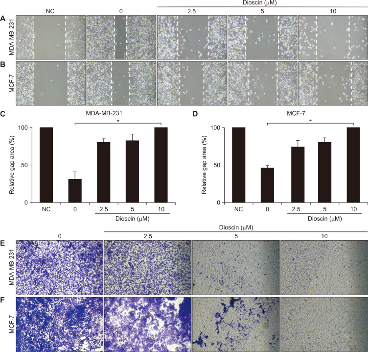 Dioscin Decreases Breast Cancer Stem-like Cell Proliferation via Cell Cycle Arrest by Modulating p38 Mitogen-activated Protein Kinase and AKT/mTOR Signaling Pathways.