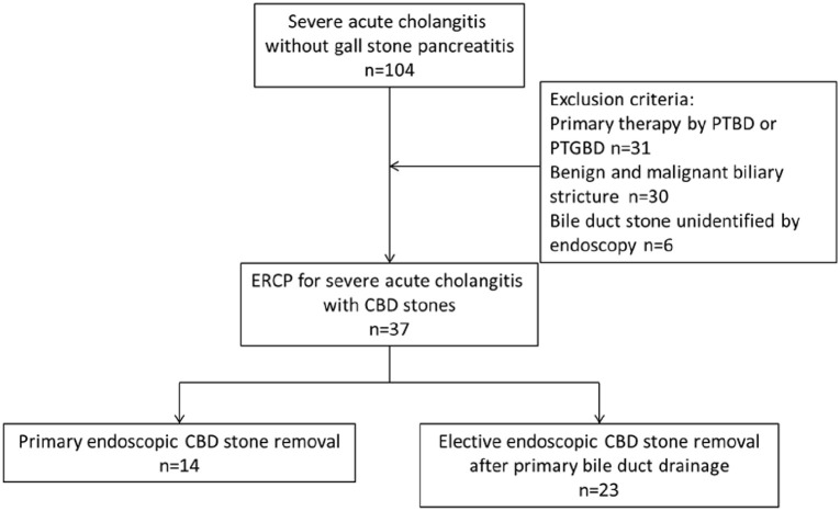 Primary endoscopic bile duct stone removal for severe acute cholangitis: a retrospective study.