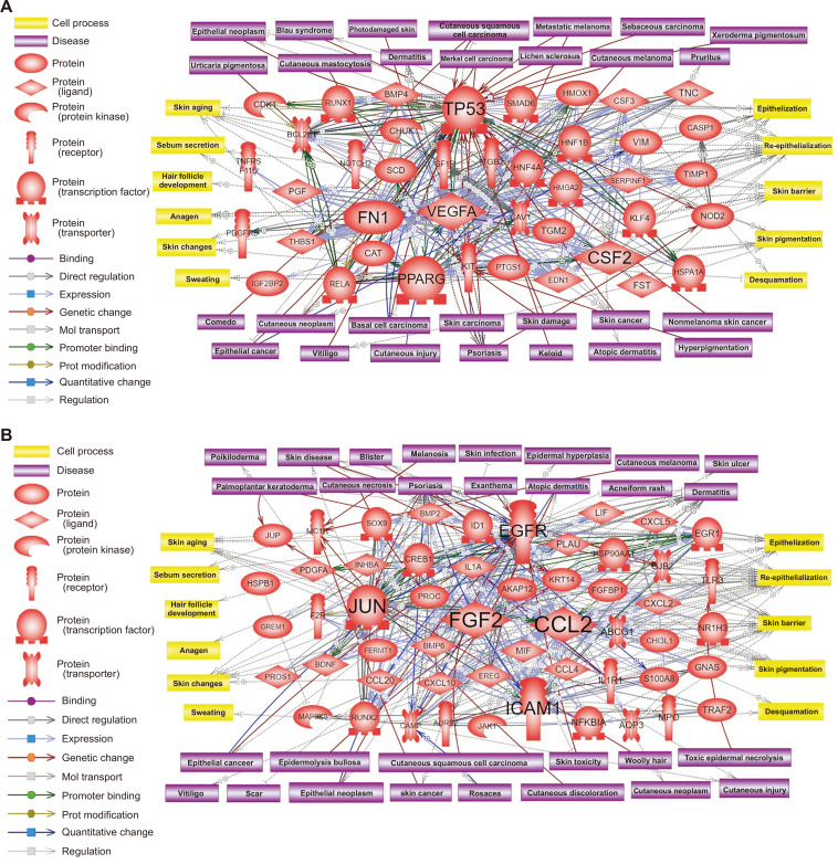 Genomic Approach to the Assessment of Adverse Effects of Particulate Matters on Skin Cancer and Other Disorders and Underlying Molecular Mechanisms.