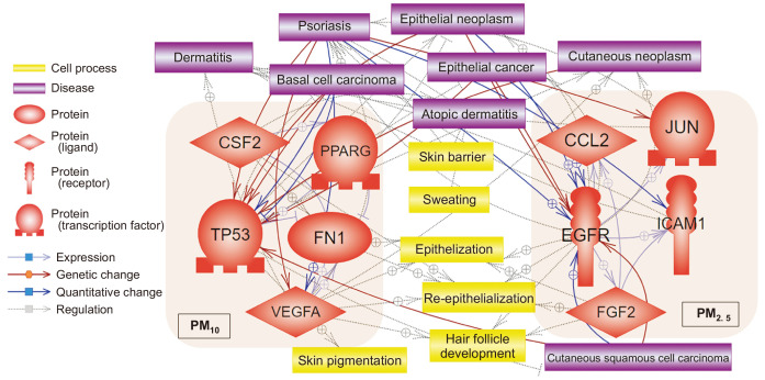 Genomic Approach to the Assessment of Adverse Effects of Particulate Matters on Skin Cancer and Other Disorders and Underlying Molecular Mechanisms.