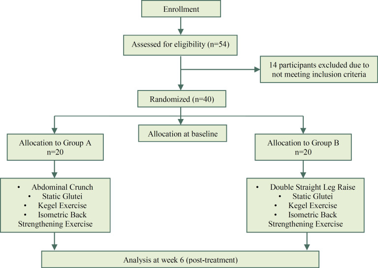 Effect of Exercise on Inter-Recti Distance and Associated Low Back Pain Among Post-Partum Females: A Randomized Controlled Trial.