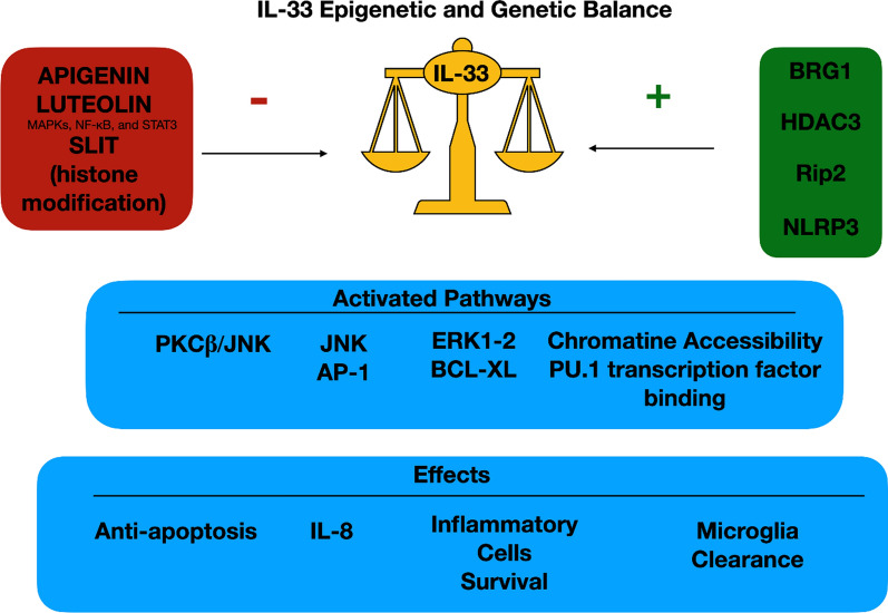 IL-33 genetics and epigenetics in immune-related diseases.