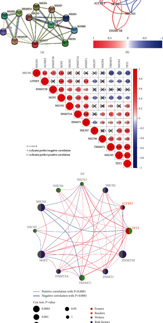 Comprehensive Analysis of m<sup>5</sup>C RNA Methylation Regulator Genes in Clear Cell Renal Cell Carcinoma.