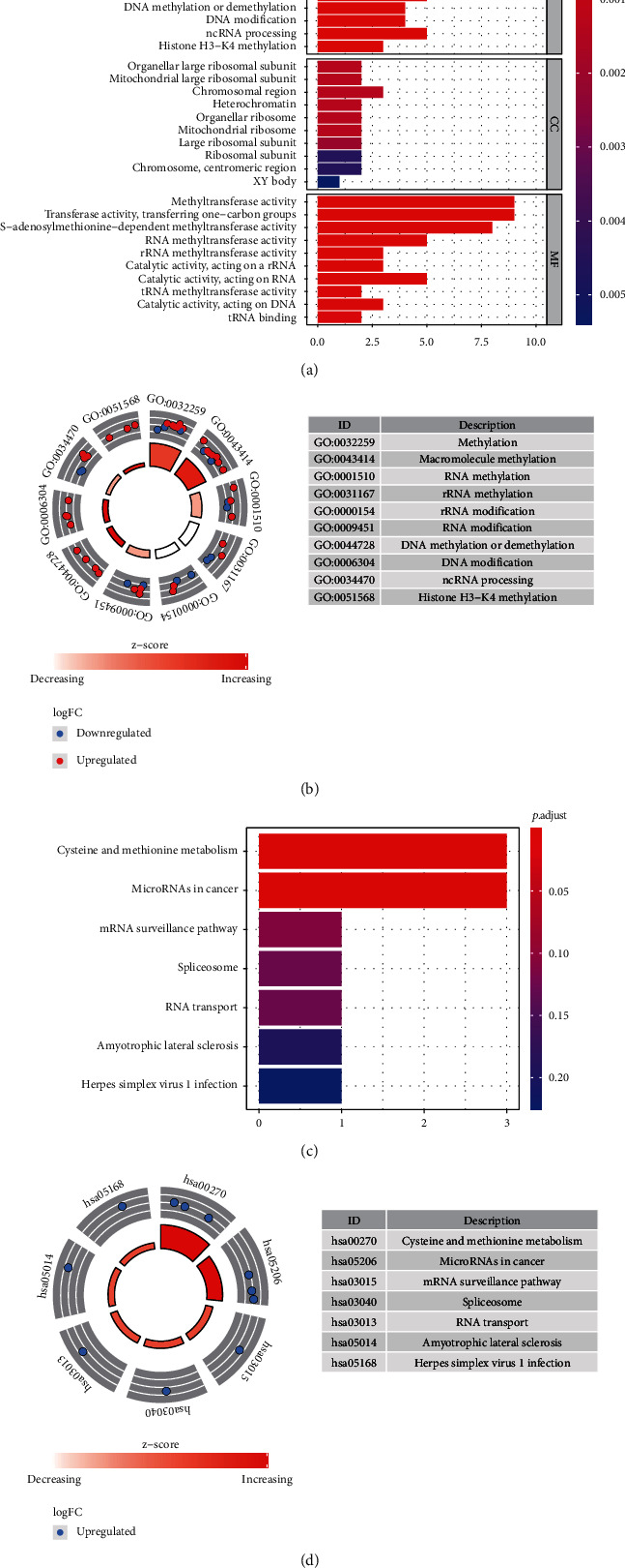 Comprehensive Analysis of m<sup>5</sup>C RNA Methylation Regulator Genes in Clear Cell Renal Cell Carcinoma.