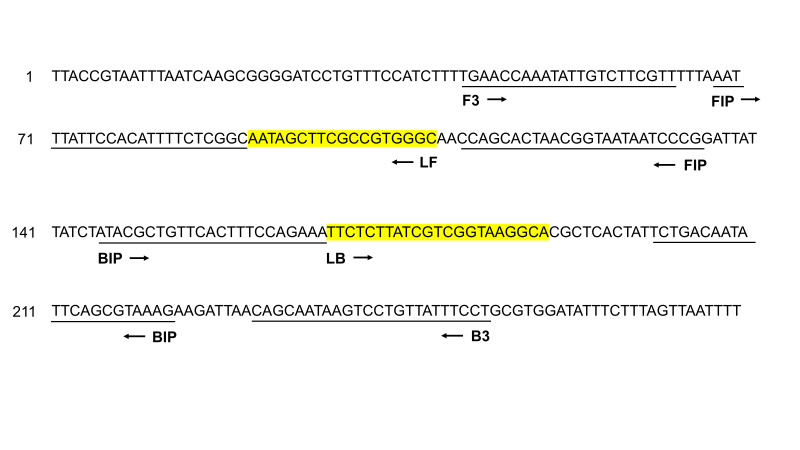 Rapid and sensitive detection of Salmonella species targeting the hilA gene using a loop-mediated isothermal amplification assay.