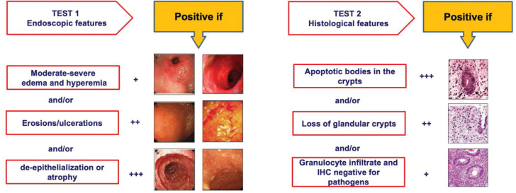 Gastrointestinal Complications after Allogeneic Hematopoietic Stem Cell Transplant: A Multidisciplinary Approach with Early Endoscopic Evaluation.