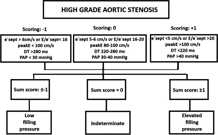 Echocardiographic assessment of diastolic dysfunction in elderly patients with severe aortic stenosis before and after aortic valve replacement.