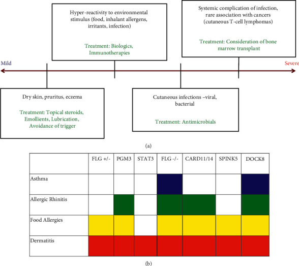 Very Elevated IgE, Atopy, and Severe Infection: A Genomics-Based Diagnostic Approach to a Spectrum of Diseases.