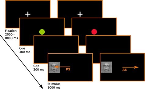 Brain Activity During Antisaccades to Faces in Adolescence.