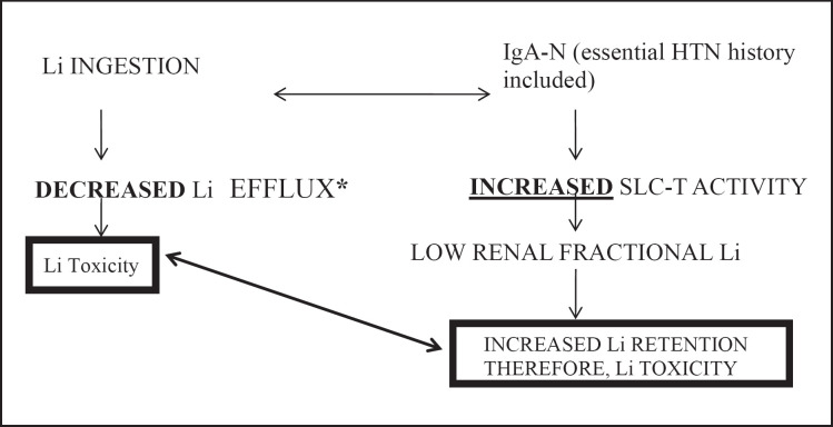 An Overlooked Link between IgA Nephropathy and Lithium Toxicity: A Case Report.