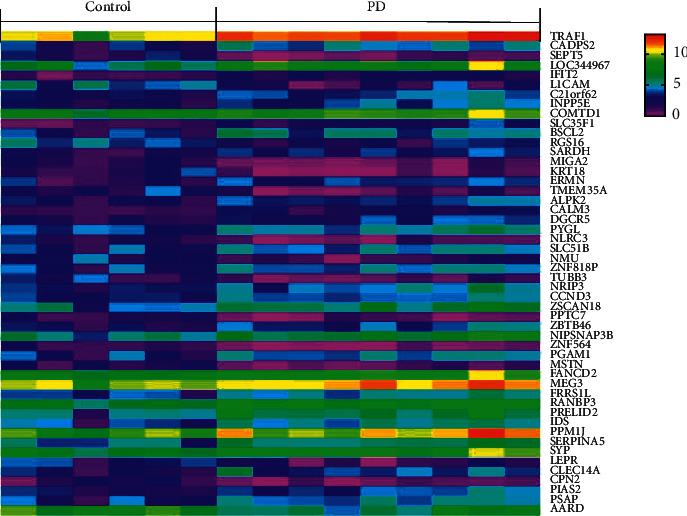 Identification of Potential Core Genes in Parkinson's Disease Using Bioinformatics Analysis.