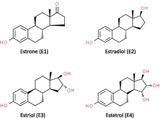 Estetrol and Mammary Gland: Friends or Foes?