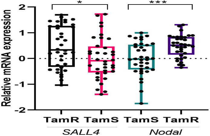 Role of <i>SALL4</i> and <i>Nodal</i> in the prognosis and tamoxifen resistance of estrogen receptor-positive breast cancer.