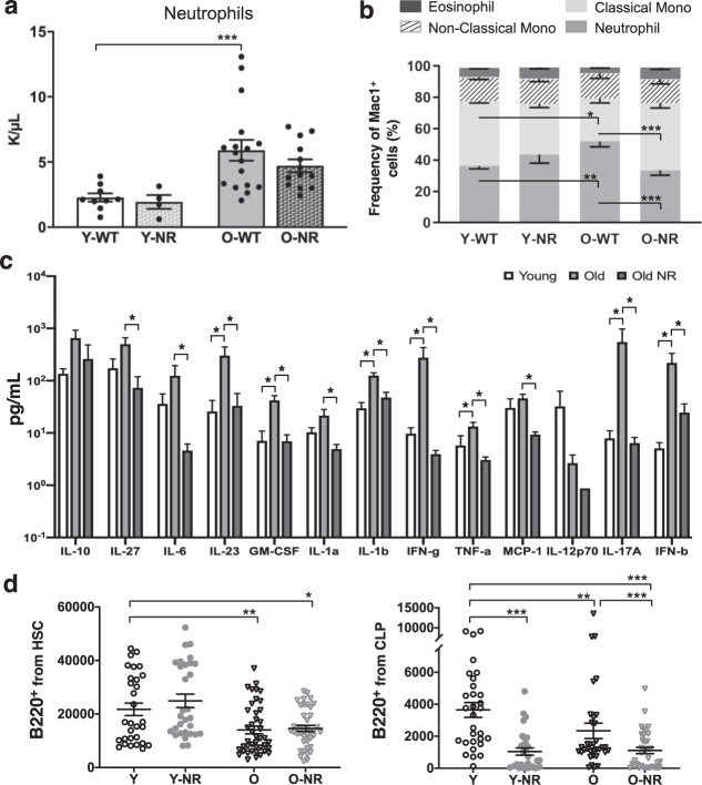 NAD<sup>+</sup> augmentation with nicotinamide riboside improves lymphoid potential of Atm<sup>-/-</sup> and old mice HSCs.