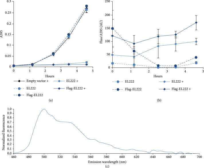 Engineering of a Promoter Repressed by a Light-Regulated Transcription Factor in <i>Escherichia coli</i>.