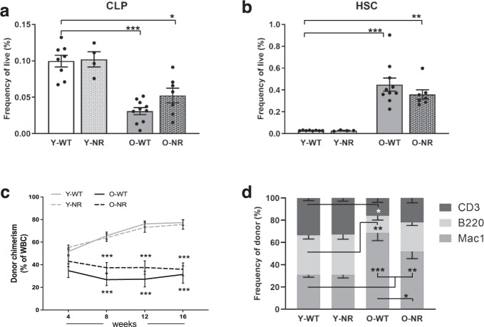 NAD<sup>+</sup> augmentation with nicotinamide riboside improves lymphoid potential of Atm<sup>-/-</sup> and old mice HSCs.