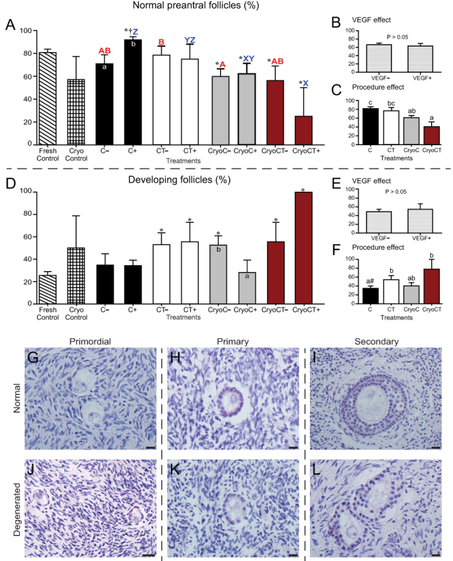 Equine ovarian tissue xenografting: impacts of cooling, vitrification, and VEGF.