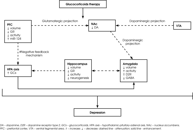 Glucocorticoid-induced depression - the role of the dopaminergic system and microRNAs.