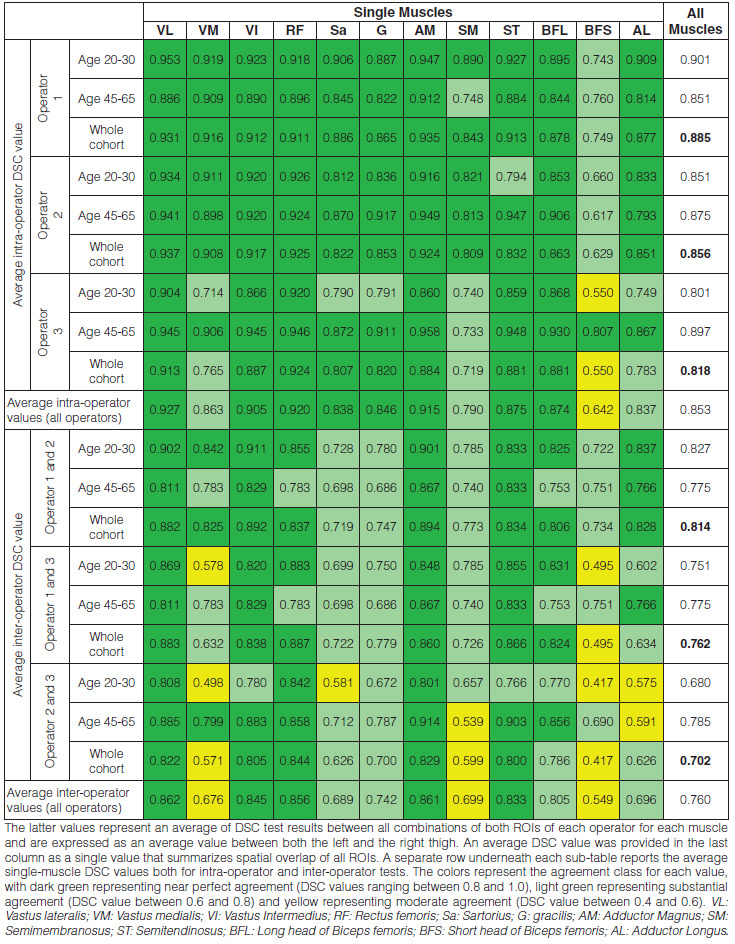 Reproducibility of manual segmentation in muscle imaging.