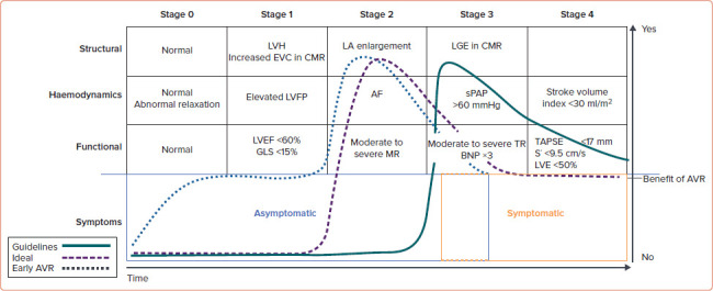 Timing of Intervention in Asymptomatic Patients with Aortic Stenosis.