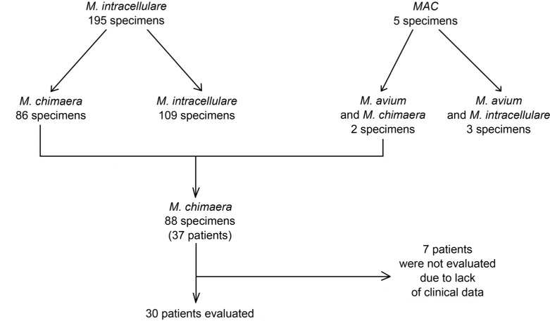 <i>Mycobacterium chimaera</i> as an Underestimated Cause of NTM Lung Diseases in Patients Hospitalized in Pulmonary Wards.