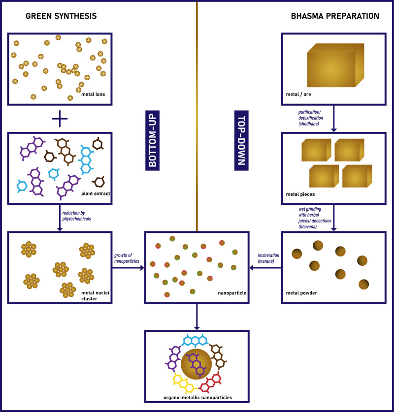 Prospective Application of Nanoparticles Green Synthesized Using Medicinal Plant Extracts as Novel Nanomedicines.