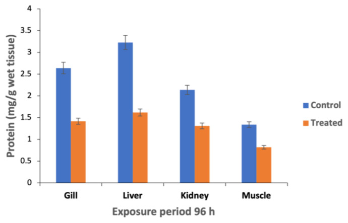 Acute and sublethal intoxication of malathion in an Indian major carp, Labeo rohita: haematological and biochemical responses.