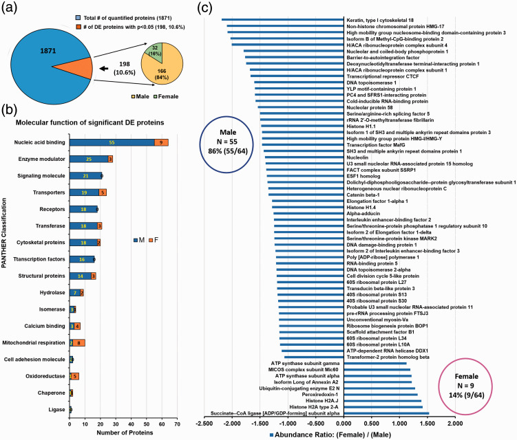 Transcriptome analysis reveals sexual disparities in gene expression in rat brain microvessels.