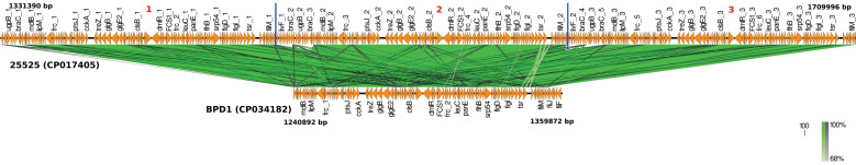 Genetic Diversity of Clinical <i>Bordetella Pertussis</i> ST2 Strains in comparison with Vaccine Reference Strains of India.