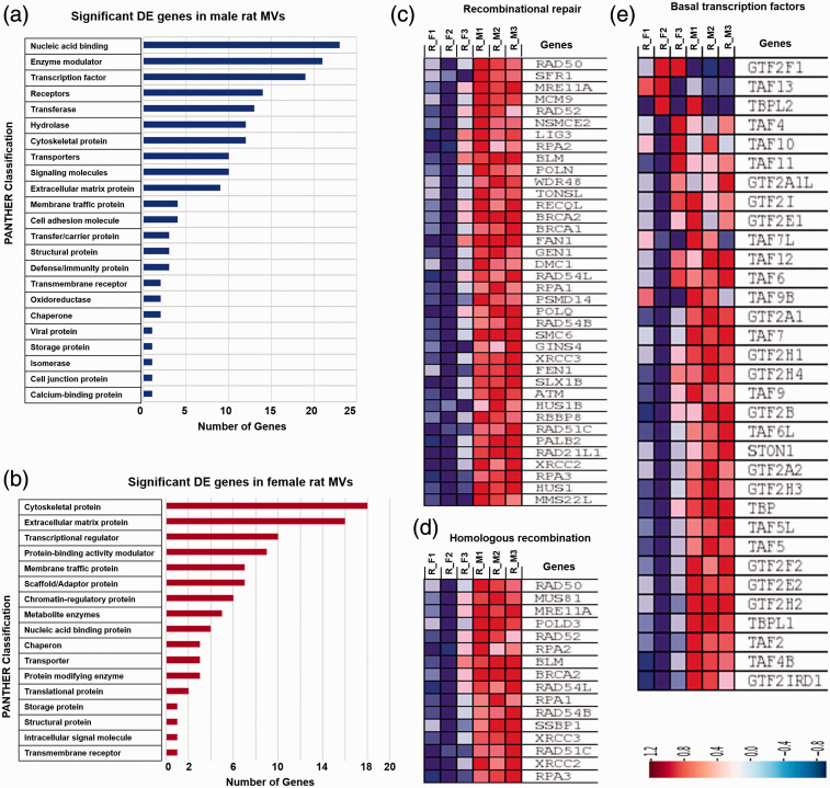 Transcriptome analysis reveals sexual disparities in gene expression in rat brain microvessels.
