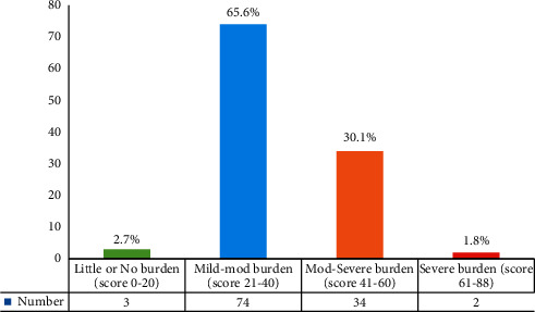 Care Burden and Coping Strategies among Caregivers of Paediatric HIV/AIDS in Northern Uganda: A Cross-Sectional Mixed-Method Study.