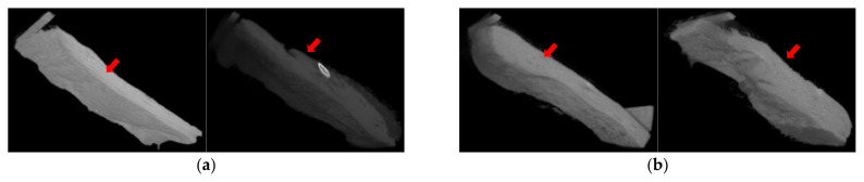 Evaluation of potential eye or skin irritation/corrosion in rabbit exposed to TiO2 photocatalyst (GST).