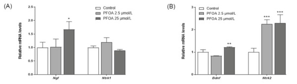 Epigenetic toxicity and cytotoxicity of perfluorooctanoic acid and its effects on gene expression in embryonic mouse hypothalamus cells.