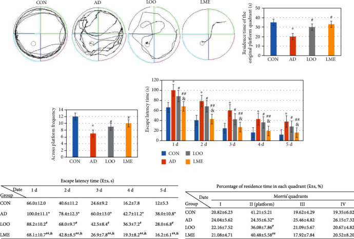 Lycopene-Loaded Microemulsion Regulates Neurogenesis in Rats with A<i>β</i>-Induced Alzheimer's Disease Rats Based on the Wnt/<i>β</i>-catenin Pathway.