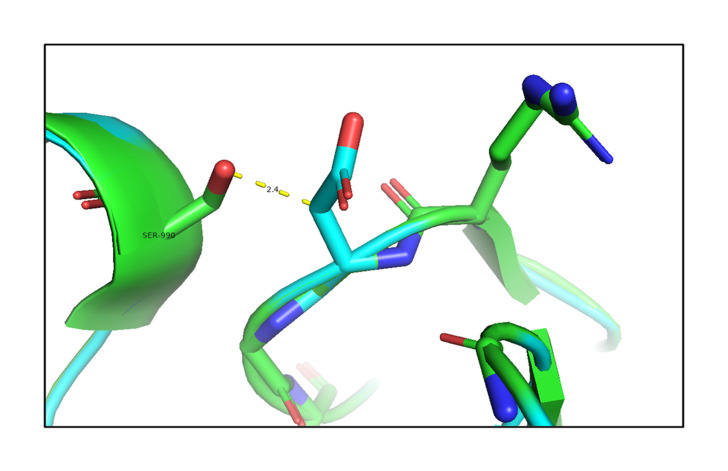 Molecular insights into the role of genetic determinants of congenital hypothyroidism.