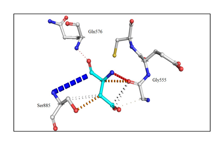 Molecular insights into the role of genetic determinants of congenital hypothyroidism.