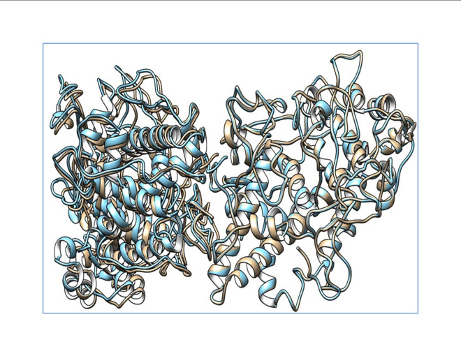 Molecular insights into the role of genetic determinants of congenital hypothyroidism.