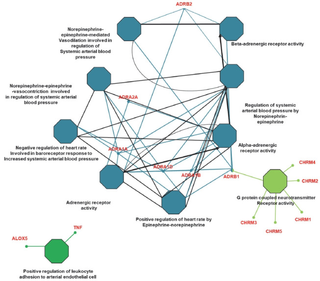 A network pharmacology approach to explore the potential role of Panax ginseng on exercise performance.