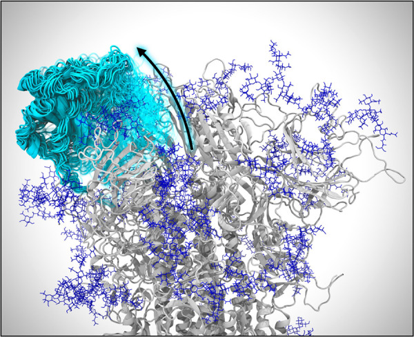 AI-driven multiscale simulations illuminate mechanisms of SARS-CoV-2 spike dynamics.