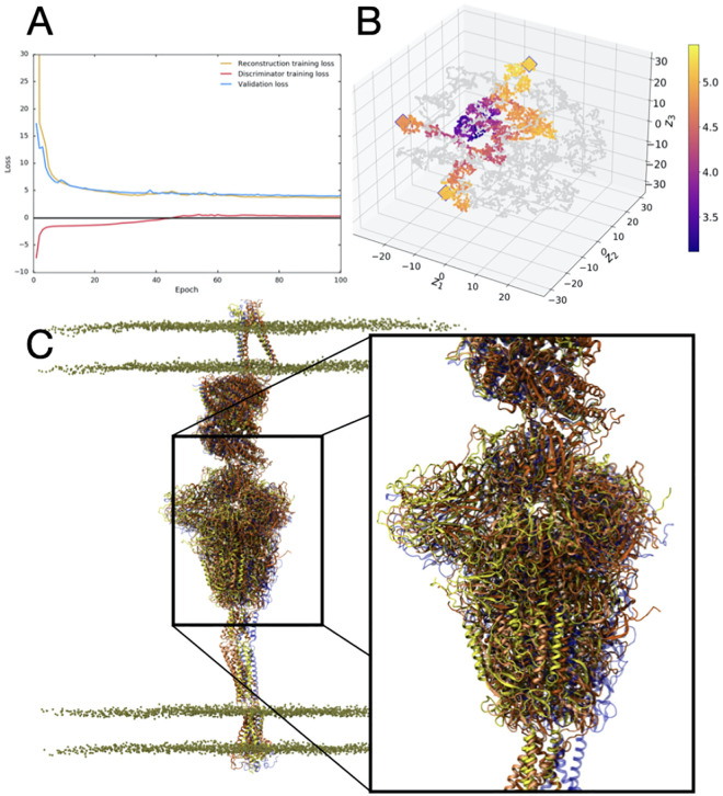 AI-driven multiscale simulations illuminate mechanisms of SARS-CoV-2 spike dynamics.